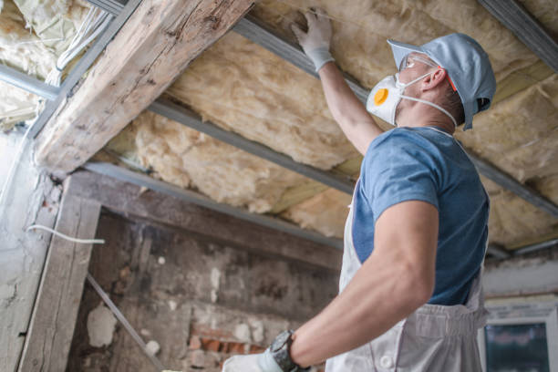 Best Insulation Maintenance and Repair in Mesquite, NV